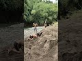 Aray ko Ang itlog ko🤣🤣 #viralvideo #funny