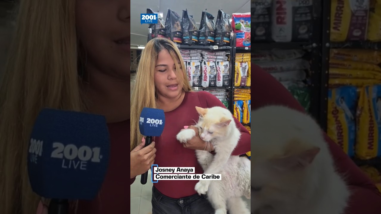 Comerciantes de La Guaira abren la Santamaría para impulsar la economía local