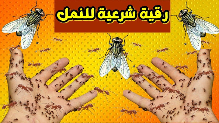 رقية النمل في المنزل رقية لطرد النمل والحشرات من المنزل  تخلص من النمل في البيت تخلص من النمل نهائيا