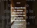 #estoicismo #estoicos #estoicosmodernos  #decretoprosperidad #abundancia #metafisica4en1