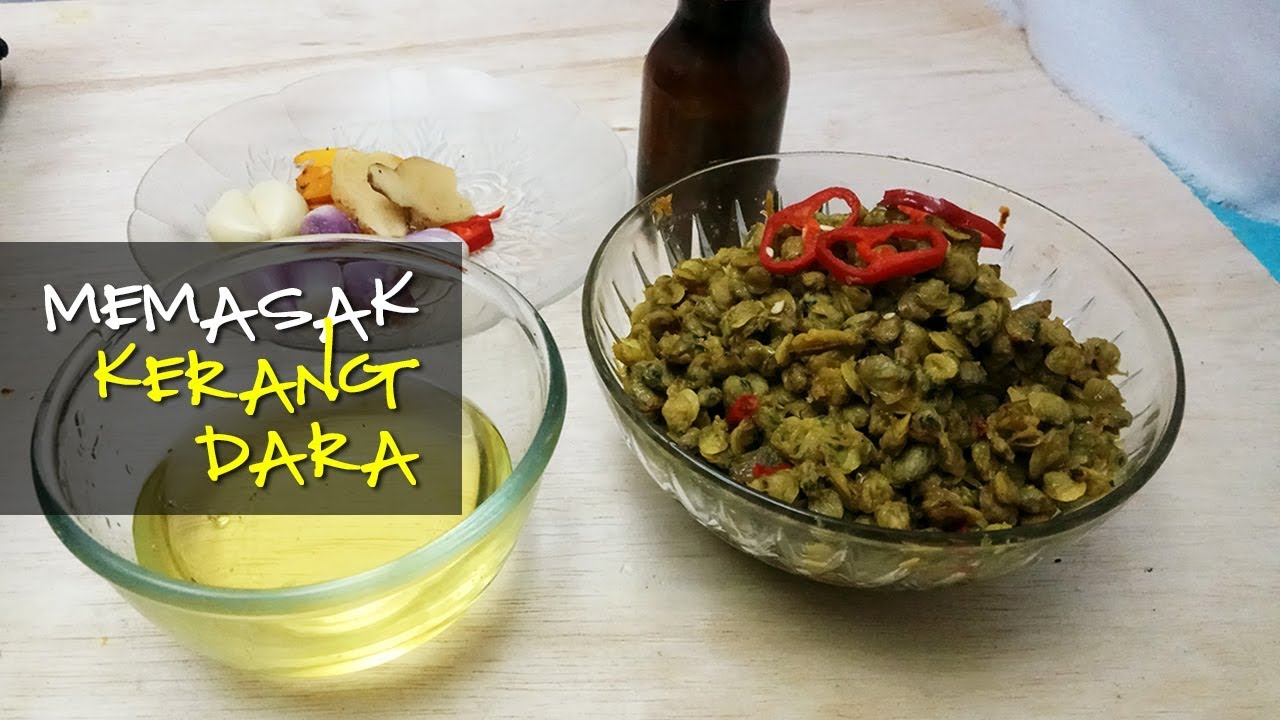 Cara Memasak Tumis Kerang  Dara Bumbu Kuning Sederhana  