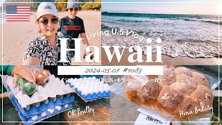 ハワイ散歩「早朝のワイマナロビーチが幸せすぎる」 ワイマナロ | OKポートリー | ホヌベーカリー | OsmoPocket3 | VLOG〔アメリカ暮らし物語 第1083話〕