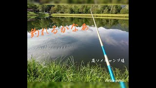 ド素人がキャンプ場で釣りをしたよ In 高ソメキャンプ場 ド素人がキャンプ場で釣りをしたよ In 高ソメキャンプ場