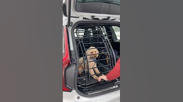 🇸🇪 Volvo original dog gate and load compartment divider in the XC90