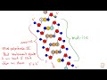 La réplication de l'ADN