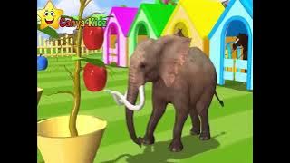 Learning to Recognize Colors for Toddlers - Cute Colorful Animals - Cahya Kidz Children's songs