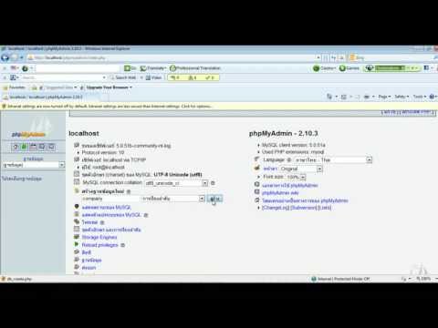 ฐานข้อมูล Company My SQl phpAdmin