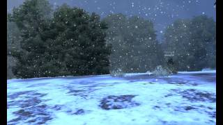 StalkerOnline 2012-01-31 03-28-31-55.avi