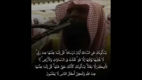 تلاوات من سورة الأعراف #محمد_اللحيدان #اكسبلور #قرآن #reels #سورة_الأعراف