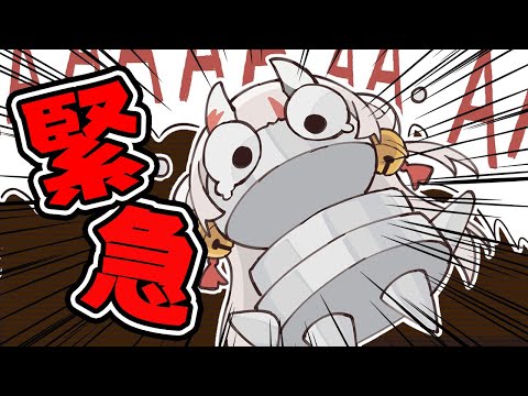 【 R.E.P.O. 】緊急で動画をまわしています #ホロREPO【百鬼あやめ/ホロライブ】 Thumbnail Image