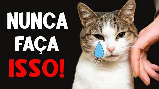 18 Coisas que um gato NUNCA PERDOARÁ! 🔥