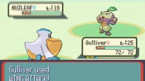 Pokemon Ruby: Part 27 "Approaching the Falls"