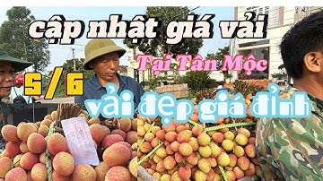 Cập Nhật-  Giá Vải  Các Đểm Cân Vải Lớn Nhất Tại Xã- Tân mộc - Lục Ngạn Bắc Giang #lụcnganquetoi