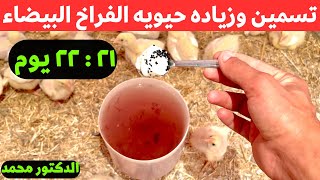 زياده حيويه وأوزان الفراخ البيضاء الي ٣ كيلو في شهر