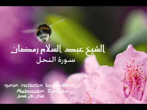 سورة النحل بصوت الشيخ عبدالسلام رمضان Part 2 4 