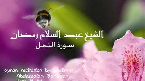 سورة النحل بصوت الشيخ عبدالسلام رمضان part 2/4