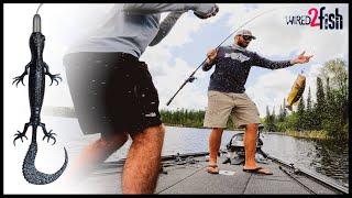 Bass Fishing Soft Plastic Lizards | Late Spring Tactics