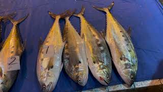 2024•Mar14 澎湖馬公第三魚市場