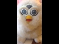 1998 Furby Song Dodo Do 1998 Furby Song Dodo Do