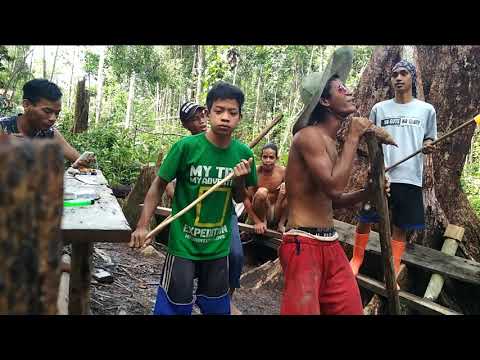 Video: Nasib Kilang