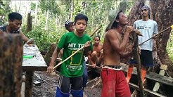 LAGU NASIB KERJA SAWIT (parodi)  - Durasi: 3:29. 