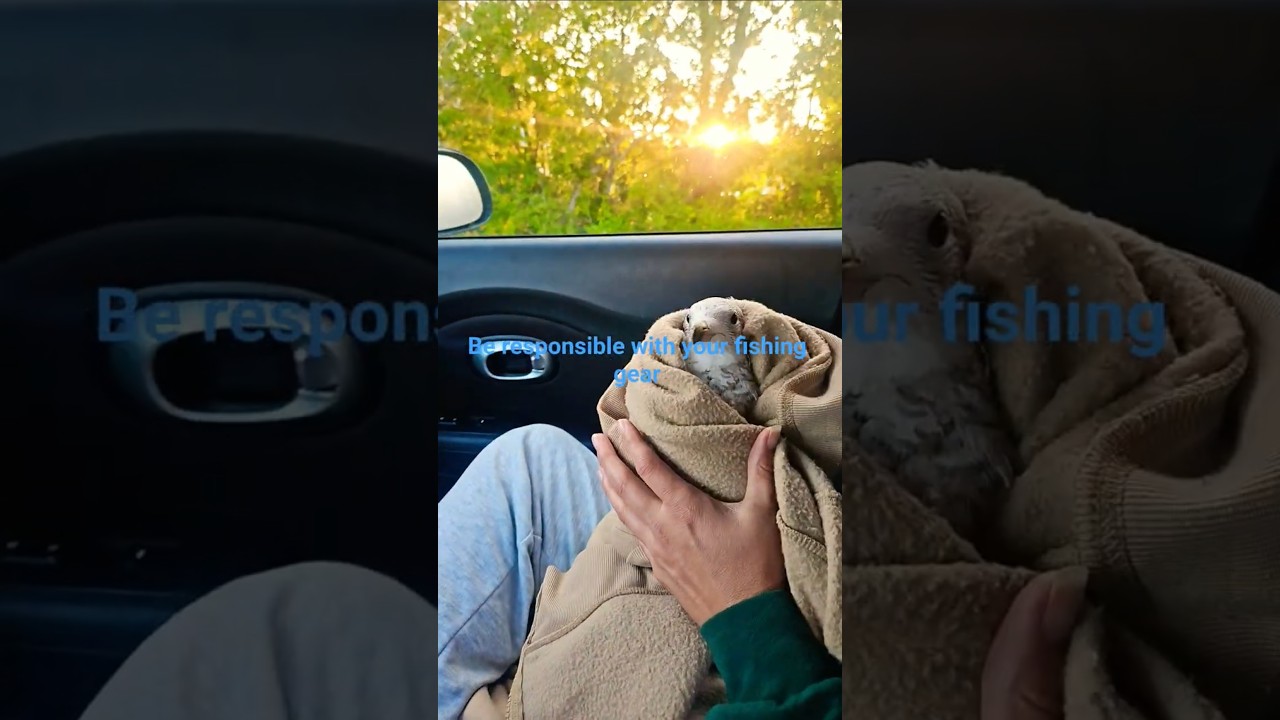 North Shore Bait & Tackle 