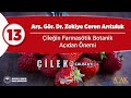 13 Г Ilek E Г AlД ЕџtayД Г IleДџin FarmasГ Tik Botanik AГ Д Dan Г Nemi 13 Г Ilek E Г AlД ЕџtayД Г IleДџin FarmasГ Tik Botanik AГ Д Dan Г Nemi