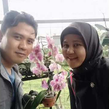 D`Orchid palutungan kuningan