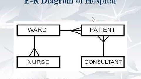 2. Ms Access 2003 Tutorials in Urdu - Database Relationship Urdu Tutorials