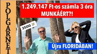 4k-ban ÖNTÖTT el minket a SZA… ! Visszatérésünk FLORIDÁBA! TOI-TOI-t a kertbe?! / Polgarnet