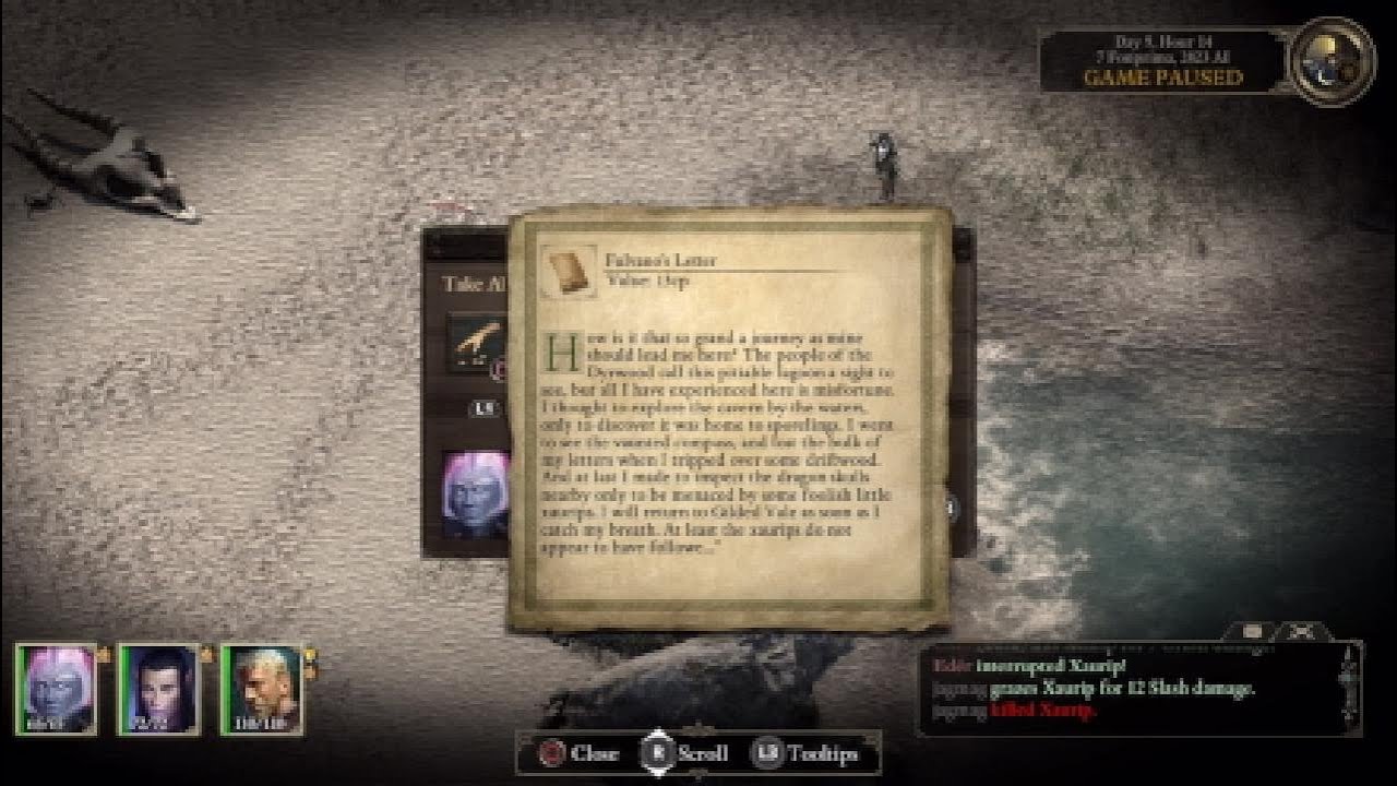 Pillars of EternityPriest, Part 6 YouTube