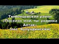 Тематическая программа &quot;Поселок мой, ты родинка Алтая&quot; в поселке Кулундинский 28 08 2022