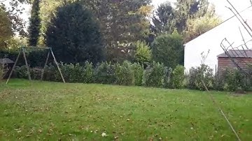 Testing Gaui X3 3S Low rpm in the garden - Alex