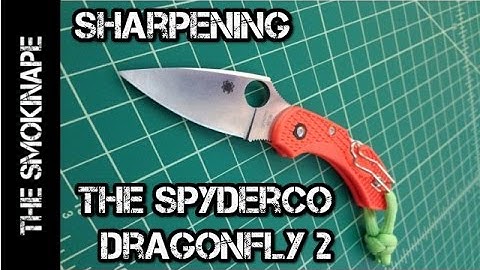 How To Sharpen the Spyderco Dragonfly 2 EDC Knife - TheSmokinApe