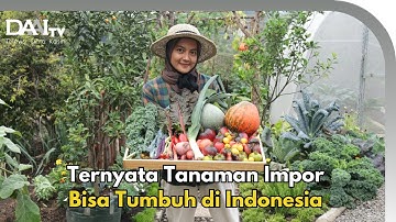 Kebun Warna-Warni Super Cantik - Kebun Kian