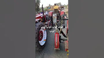 ع رئى المثل اجرى يابن آدم جرى الوحوش حط ابنك تحت رجليك 