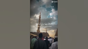 شيخ ياسر الدوسري سورة النحل