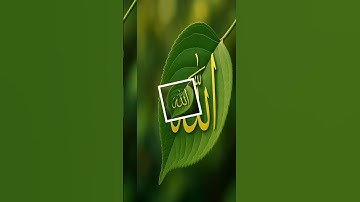 فضيلة الشيخ محمود الشحات سورة الحشر بصوت عذب الكلام