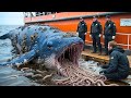 Команда спасателей спасла гигантского синего кита, покрытого бесчисленными мшанками 🐳