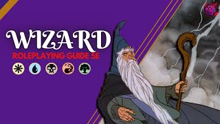 Wizard Role Playing Guide Color Pie System