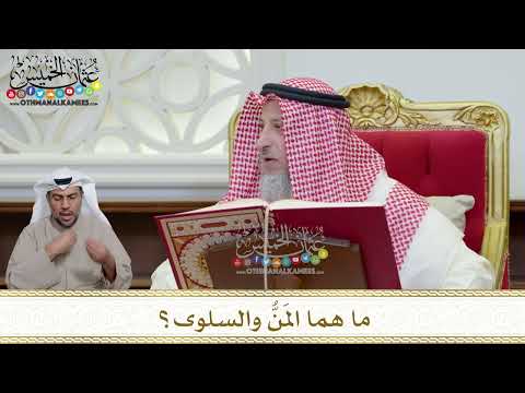 فيديو: ما هو شكل المن؟