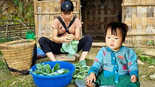 Harvest the garden of kohlrabi and green vegetables to sell at the market, and cut Ngoc's hair