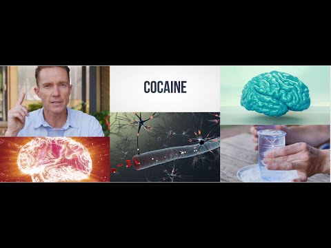 what-effect-does-cocaine-have-on-your-brain...-and-how-does-it-affect-your-health?