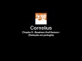 Cornelius - Chapter 8 ~Seashore And Horizon~ (tradução em português)