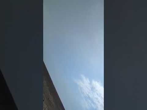 صيد الحباري في العراق من الصياد محمد البواردي سنة 2022