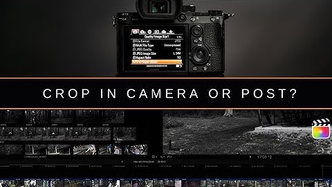 Sony Full Frame Cameras - Use APSC mode or Crop in Post?