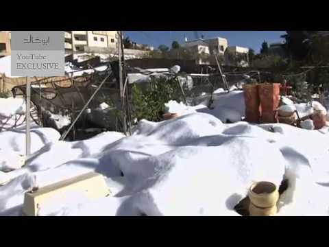 مدن فلسطينية منكوبة بعد أليكسا