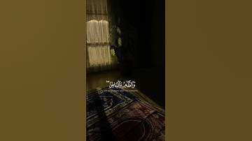 سبح لله مافي السموات والأرض  محمد المحيسني من سورة الحديد #اكسبلور #المصحف #القرآن_الكريم #لايك