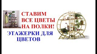 Полки для цветов. Этажерки для цветов Полки для цветов. Этажерки для цветов