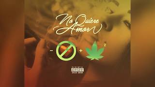 Video thumbnail of "No Quiere Amor - Lenny Tavárez Ft Farruko (Cover Audio)"